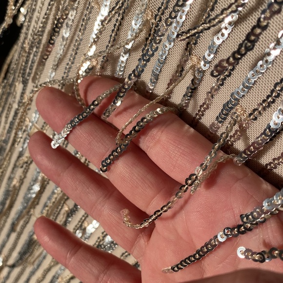 ALTAR’D STATE - dress: silver mesh w allover sequin fringe, lined w zipper - XL - Picture 13 of 16